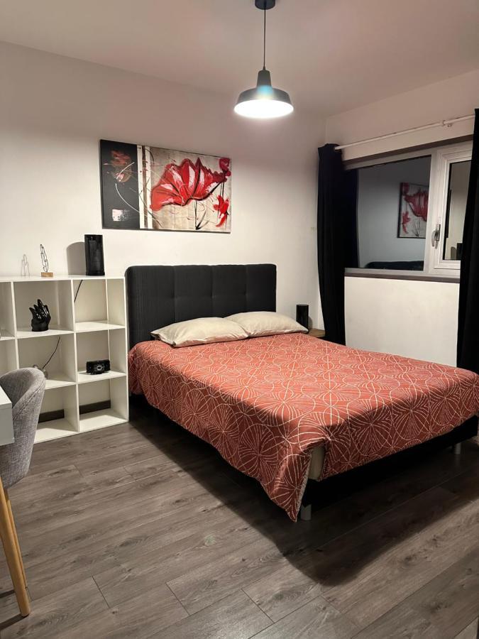 Magnifique Loft - Hyper Centre Apartment Annemasse Exterior foto