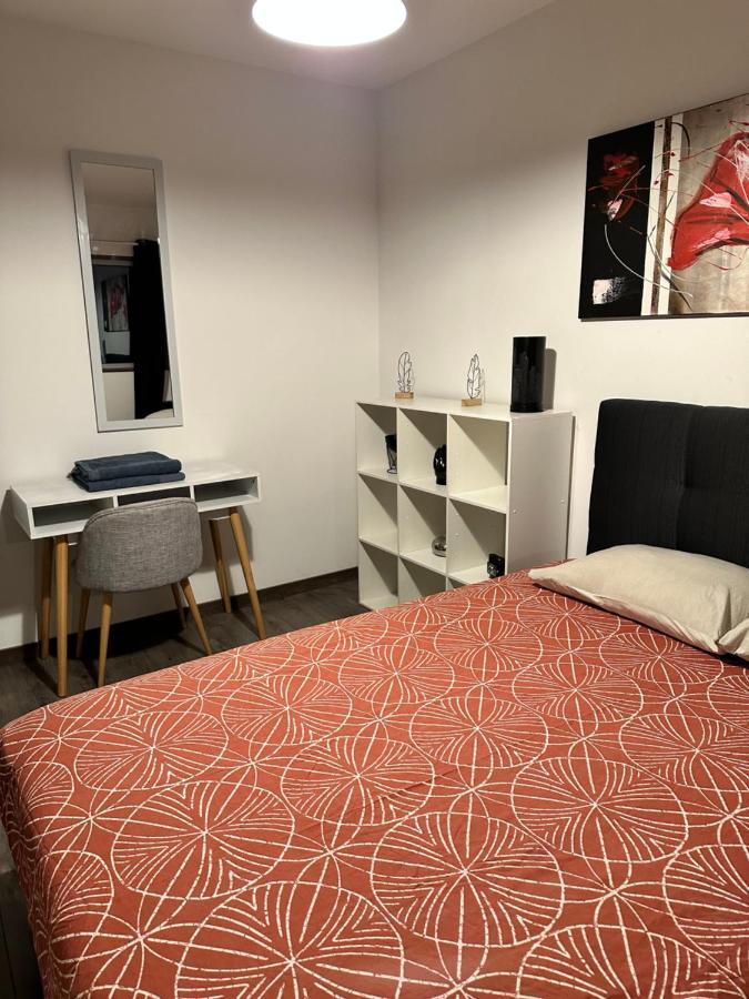 Magnifique Loft - Hyper Centre Apartment Annemasse Exterior foto