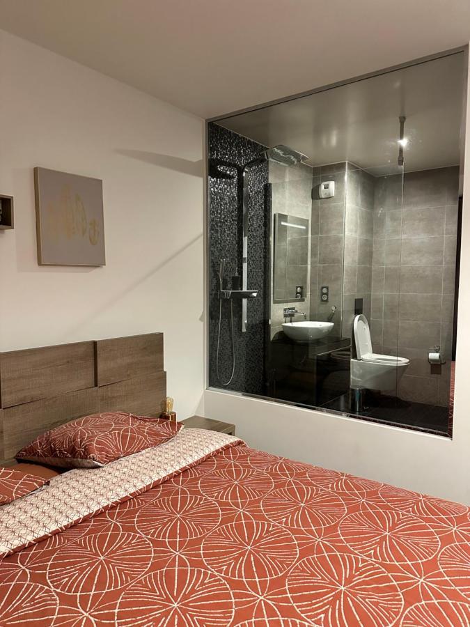 Magnifique Loft - Hyper Centre Apartment Annemasse Exterior foto